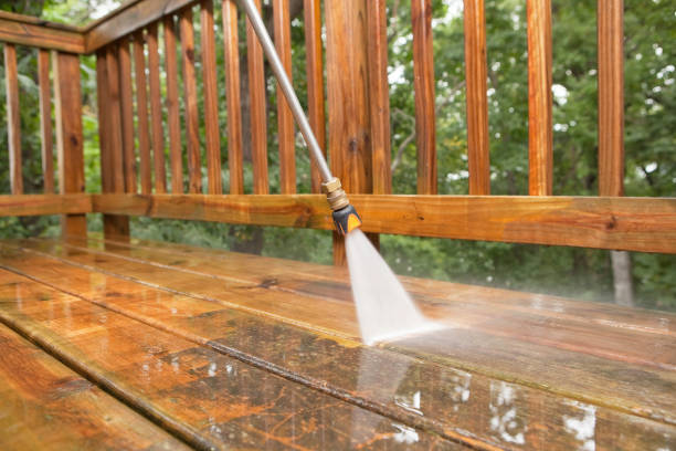 Best Dumpster Area Cleaning  in Tamiami, FL